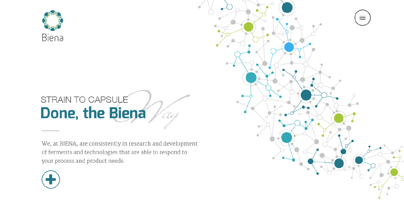 Biena Website Homepage